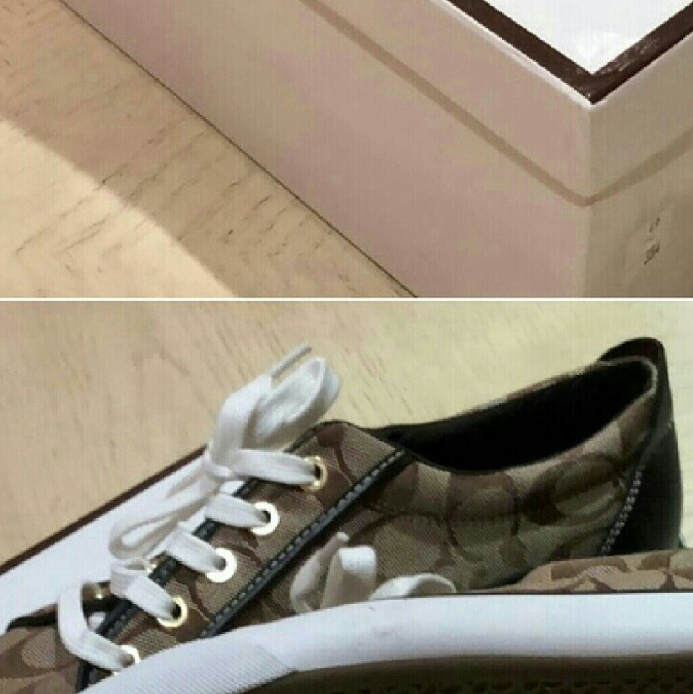 Coach shoes